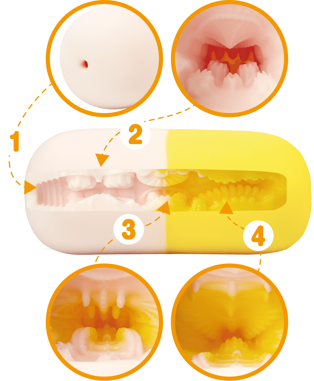Diagram van de Doctor's Deep Dive tunnel — 4 zones, 13 cm
