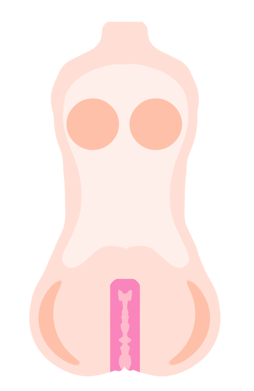 Masturbator sex torso doorsnede met onderdelen